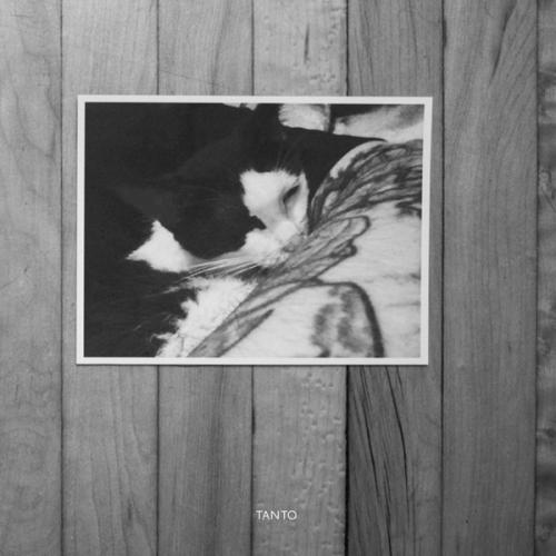 image cover: Bvdub - Tanto [Quietus]