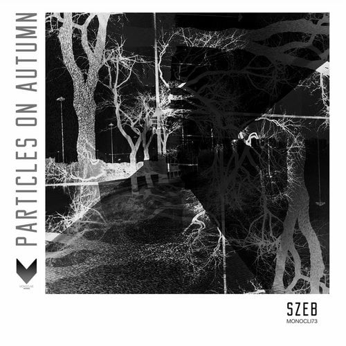 image cover: Szeb - Particles On Autumn [Monocline]