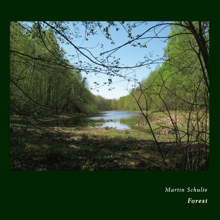 image cover: Martin Schulte - Forest [Lantern]