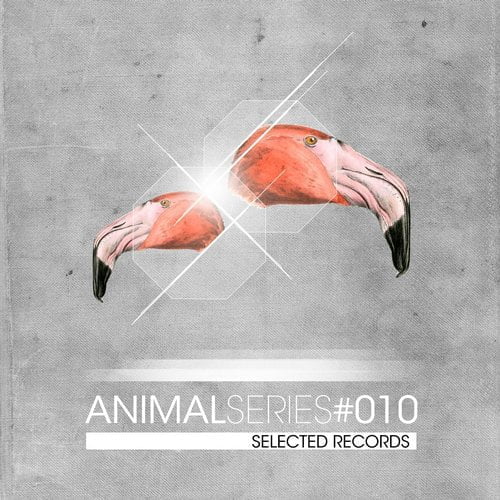 image cover: VA - ANIMAL SERIES 010 [STD137]