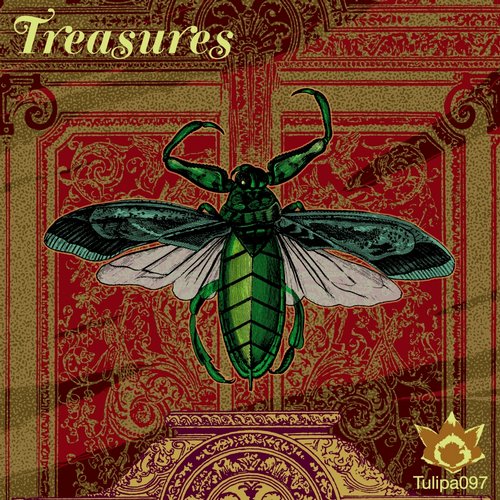 image cover: VA - Treasures [TULIPA097]