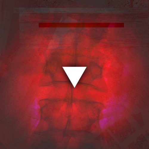 Steve Law – Anatomy In Suspension [No.]