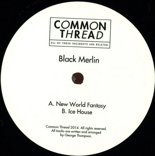 Black Merlin – New World Fantasy / Ice House