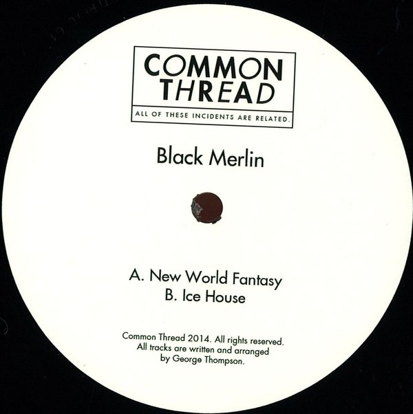 image cover: Black Merlin - New World Fantasy / Ice House