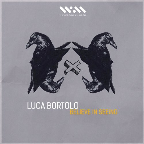 image cover: Luca Bortolo - Believe In Seeing [WTL010]