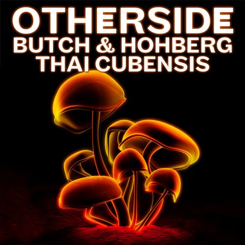 image cover: Butch & Hohberg - Thai Cubensis [OS002]