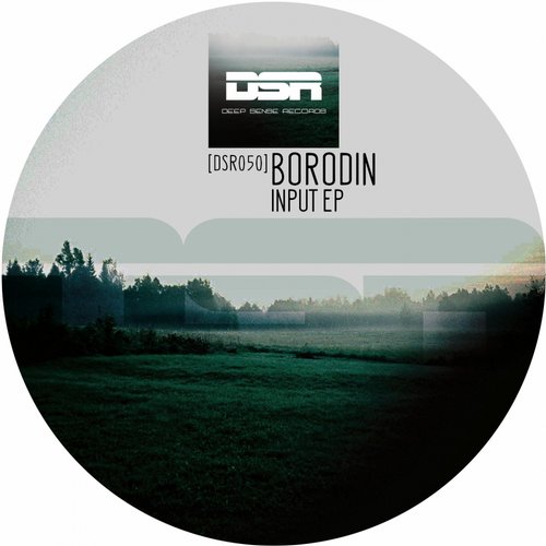 image cover: Borodin - Input EP [DSR050]