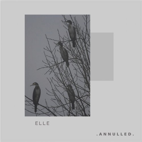 image cover: Elle - Yemaja EP [ANND003]