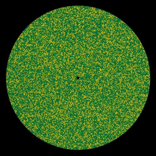 Things From The Basement – Vol.One [KANN 20]