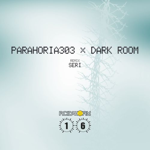 image cover: Parahoria303 - Dark Room [ACIDWORX16]