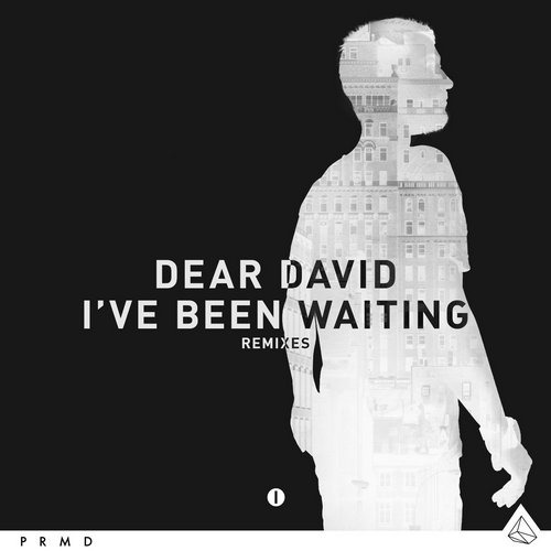 image cover: Dear David - I've Been Waiting [811250021000]
