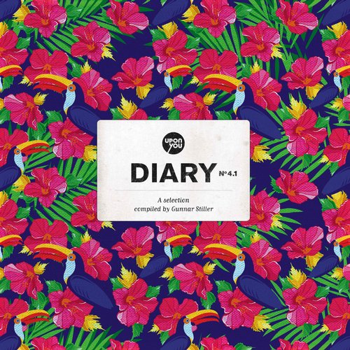 image cover: VA - A Selection Of Diary 4.1 [UY088]