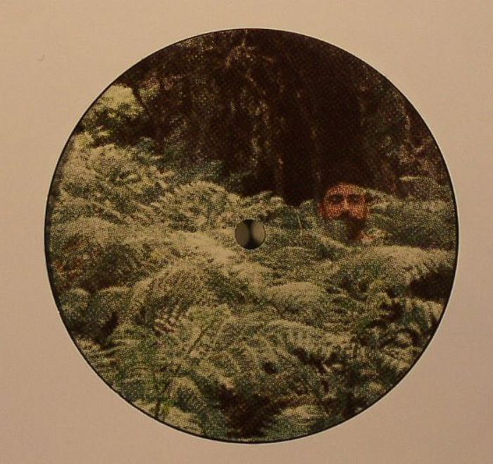 image cover: Fantastic Man - Animal Language EP [VINYLFCR003]