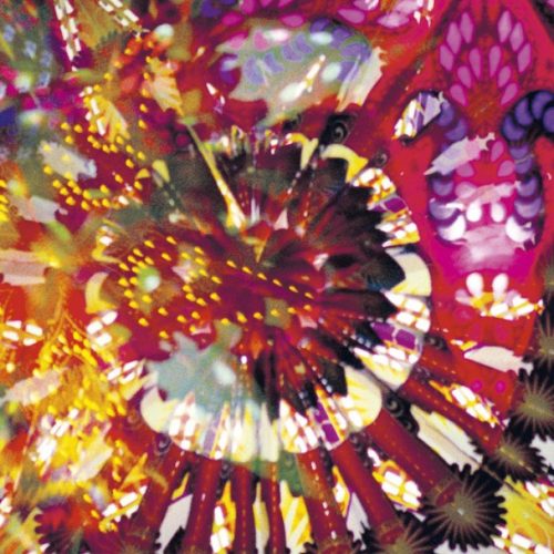 Caribou – Caribou Vibration Ensemble Live 2011