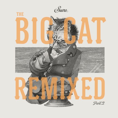 image cover: Coyu - The Big Cat Remixed Part 2 [SUARA164]