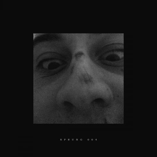 Wilmot – Reigner EP [SPRUNG004]