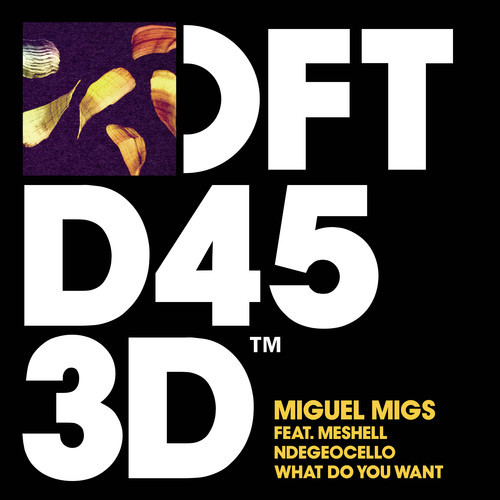 image cover: Miguel Migs Ft Meshell Ndegeocello - What Do You Want (Rodriguez Jr Remix)