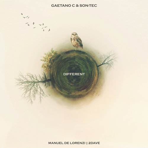 image cover: Gaetano C, Son-Tec - Different [ANTR035]