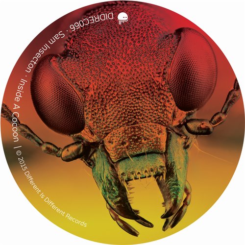 image cover: Sam Insecton - Inside A Cocoon [DIDREC066]