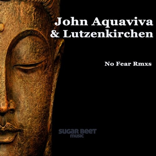 image cover: John Acquaviva & Lutzenkirchen - No Fear Rmxs [889176401442]