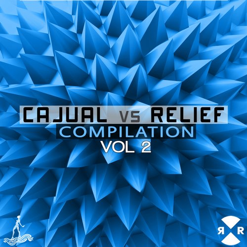image cover: VA - Cajual vs Relief Compilation Vol 2 [CAJ376]