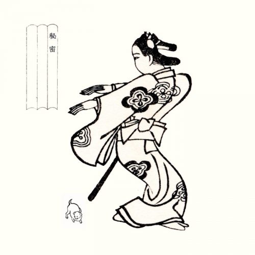 ID-22 – Secret [020]