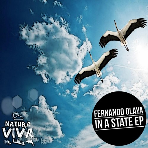 image cover: Fernando Olaya - In A State Ep [NAT238]