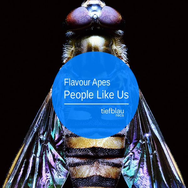 image cover: Flavour Apes - People Like Us [361459 0694760]