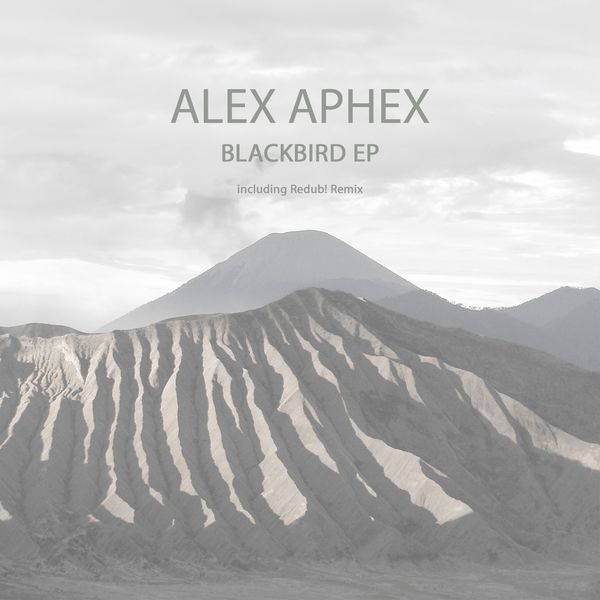 image cover: Alex Aphex - Blackbird EP [SKRIPT 015]