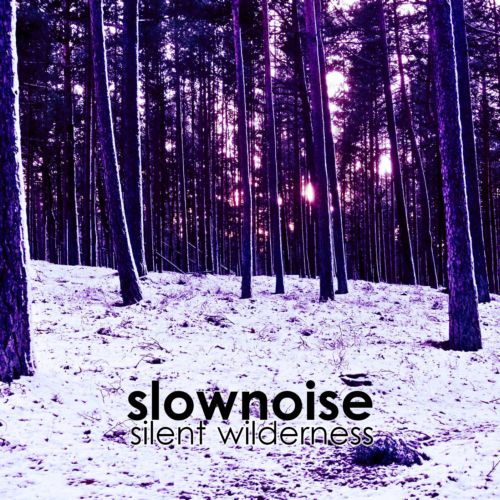 image cover: Slownoise - Silent Wilderness [CTR058]