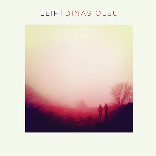 image cover: Leif - Dinas Oleu [FOFLP2]