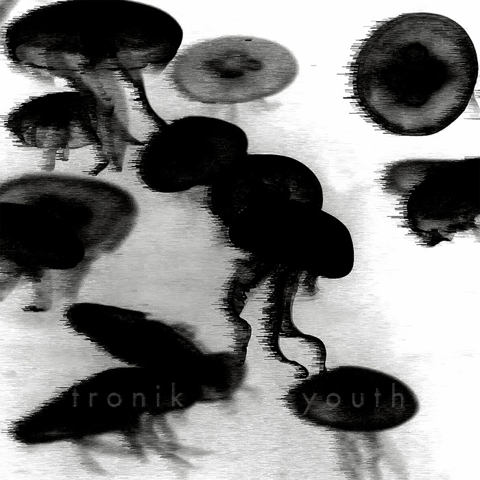 image cover: Tronik Youth - Splinter Of The Minds Eye (Remixes) [NEIN 016]