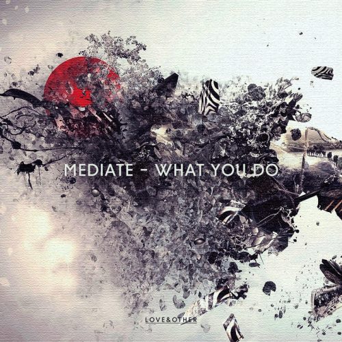 Mediate – What You Do [LOVE02601Z]