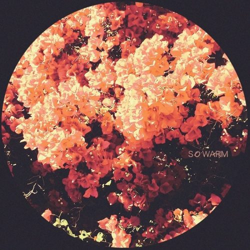 Axelle Roch, Lou Berlinger & Selma – So Warms [MONET015]