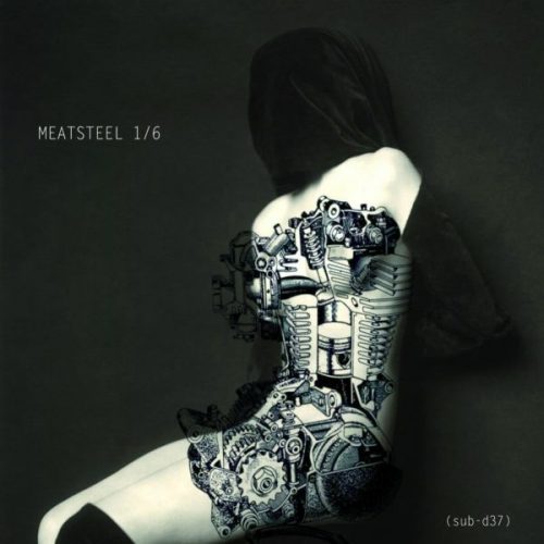 VA – Meatsteel 1-6 [sub-d38]