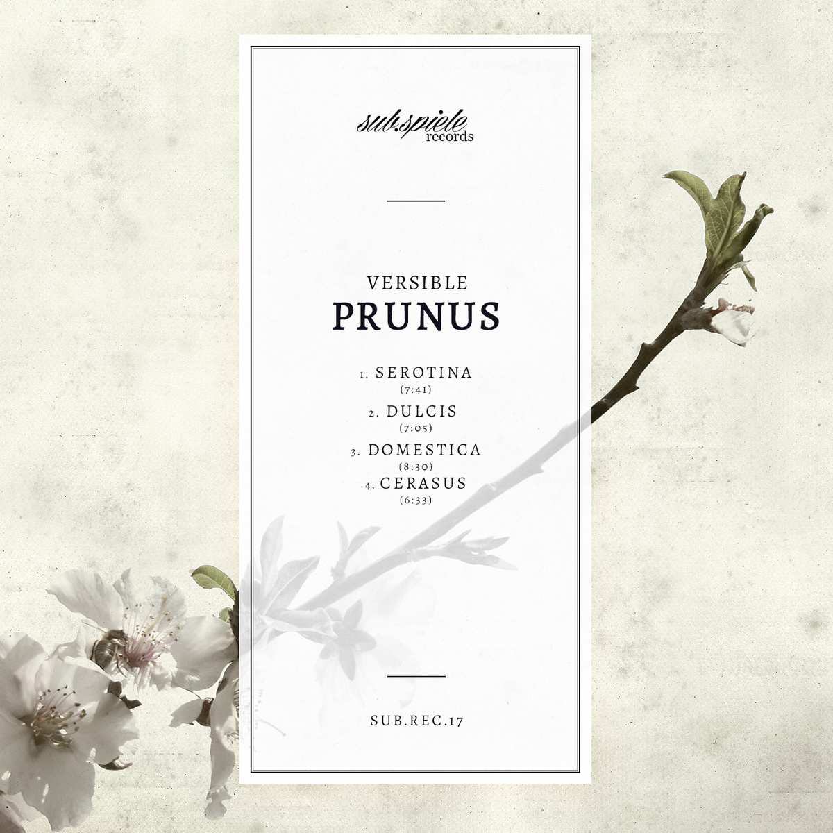image cover: Versible - Prunus