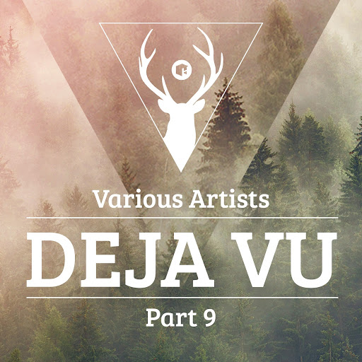 image cover: VA - Deja Vu Pt. 9 [HIGHGRADE167D]