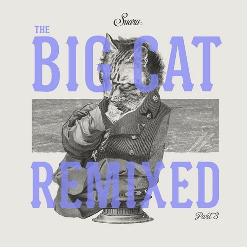 image cover: VA - The Big Cat Remixed Part 3 [SUARA173]
