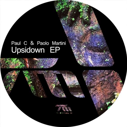 image cover: Paul C & Paolo Martini - Upsidown EP [TERM120]