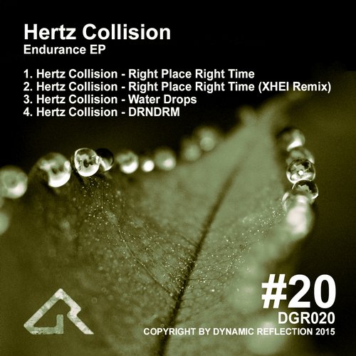 image cover: Hertz Collision - Endurance EP [DGR020]