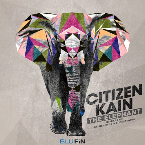 image cover: Citizen Kain - The Elephant [BluFin]
