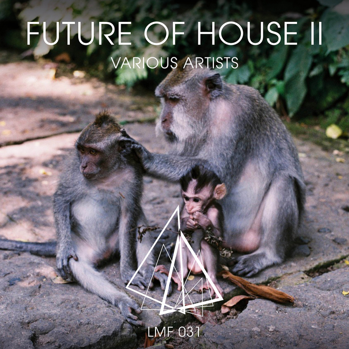 image cover: VA - Future Of House II [LMF031]