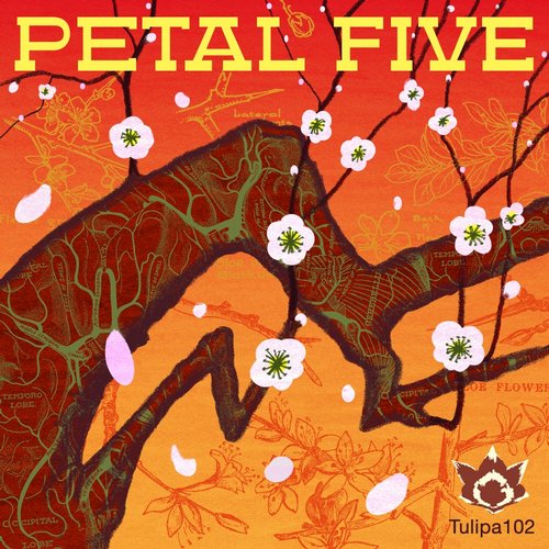 image cover: VA - Petal Five [TULIPA102]