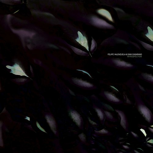 image cover: Dani Casarano, Felipe Valenzuela - Introspection [CADENZA103]