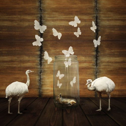 Oscar P – The Butterfly Effect [KRD124]
