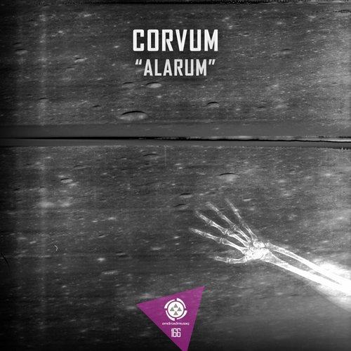 image cover: Corvum - Alarum [ANDROID166]