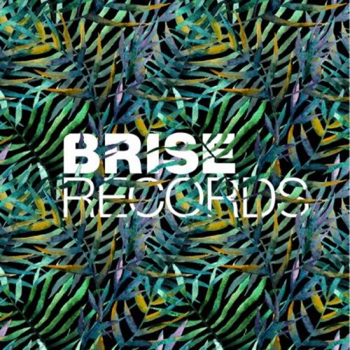 Right On – Walking Home E.P. [BRISE062]