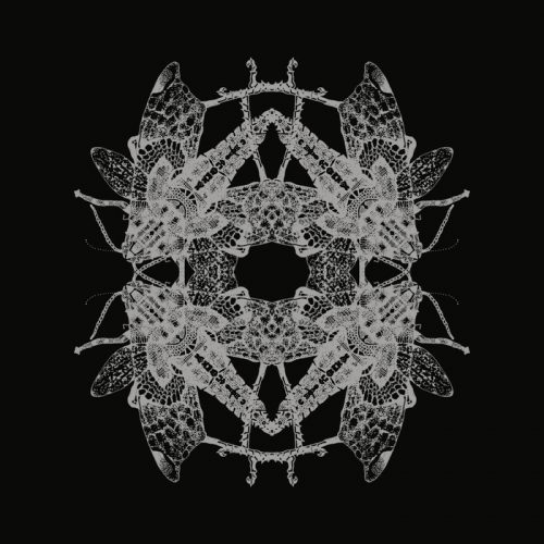 Pfirter – Message 1 [MT09]