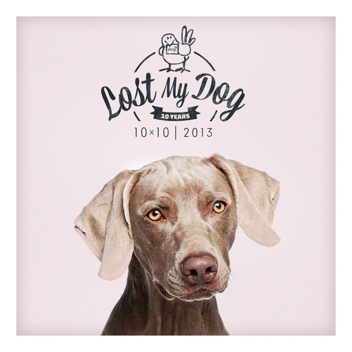 image cover: VA - Lost My Dog 10×10 2013 [LMDLP022]