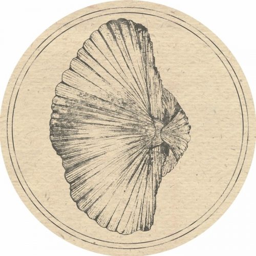 Roberto & Jamie Anderson – Billingsella Corrugata [FAUK002]